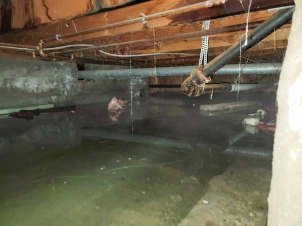 Best Emergency water damage restoration  in Heron Bay, GA