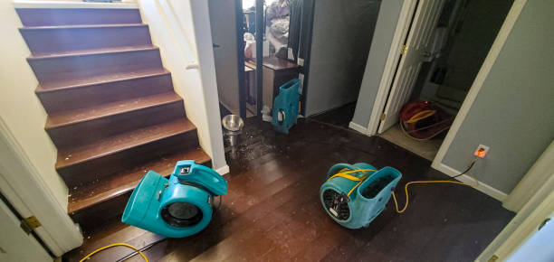 Best Ceiling water damage repair  in Heron Bay, GA