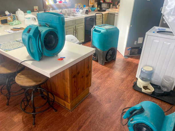 Best Flood damage cleanup  in Heron Bay, GA