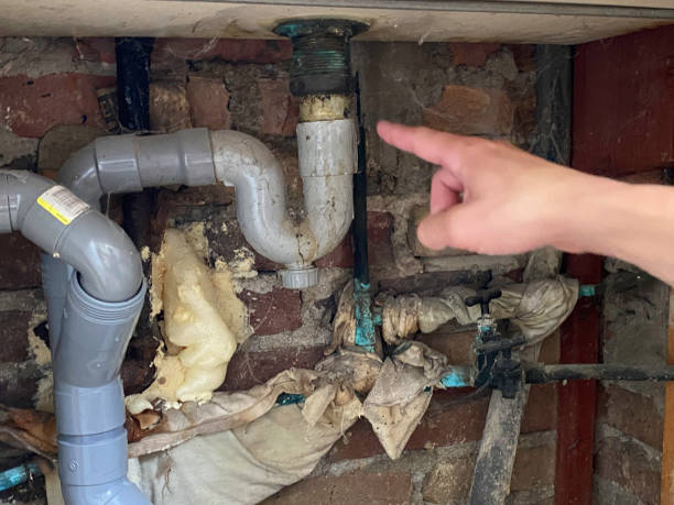 Best Local water damage restoration  in Heron Bay, GA