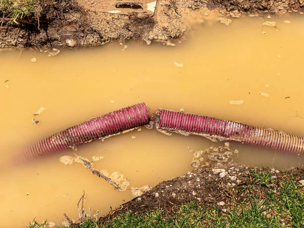 Best Water damage cleanup near me  in Heron Bay, GA