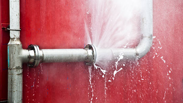 Best Flood restoration services  in Heron Bay, GA