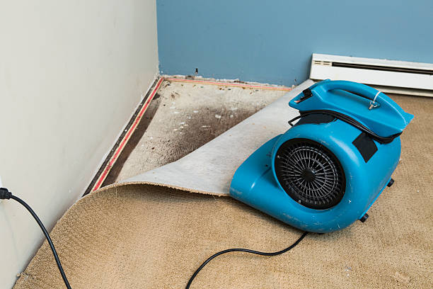 Best Water damage cleanup near me  in Heron Bay, GA